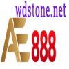 693099 wdstonenet 512x512